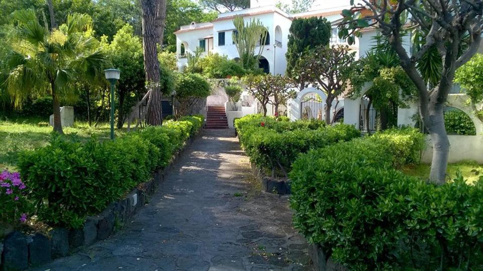 Villa Iscla Maison D'Hotes Ischia Buitenkant foto